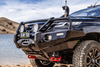 درع بولو DELUXE تجاري لمتريتون MR 2019+