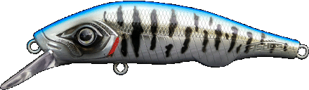 ESPETIT Ballast Minnow