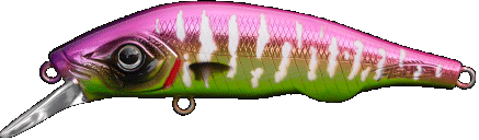 ESPETIT Ballast Minnow