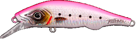 ESPETIT Ballast Minnow