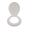 Delux Toilet Seat and Cover