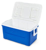 Igloo 25 Qt Ice Chest Cooler