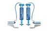 25001-367A –  Front F-150 Performance Shocks Kits (Pair)