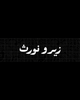 هودي ZN