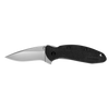 Kershaw Scallion