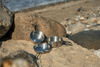 EASY CAMP TOUR COOK SET