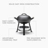 Barebones Living All-In-One Cast Iron Grill