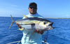 Keeling Big Game Lures