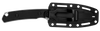 Kershaw Steppe