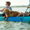 Magic Mystic paddle