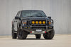F-150 2021+ APEX Bull Bar
