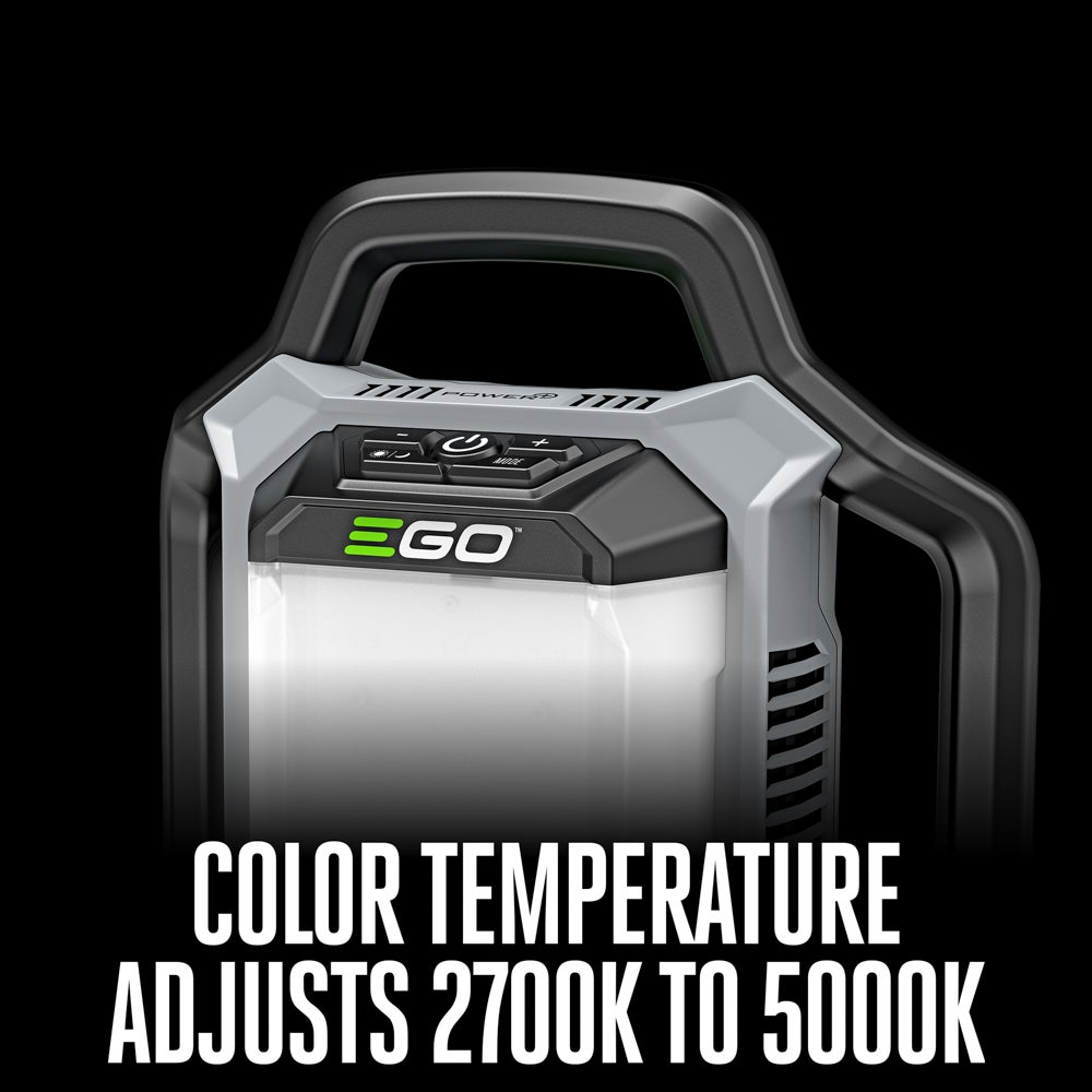 Ego Compact Area Light LT0300