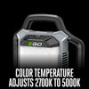Ego Compact Area Light LT0300