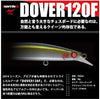 DOVER 120F Riva