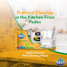 PAPILION - PADEX MULTI-SURFACE WET WIPES