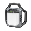 Ego Compact Area Light LT0300