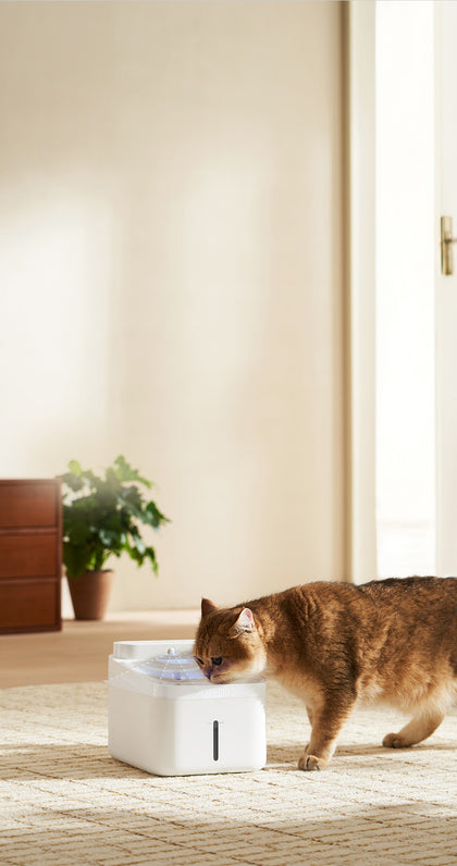 Xiaomi 4 Stage filter Smart Pet Fountain 2