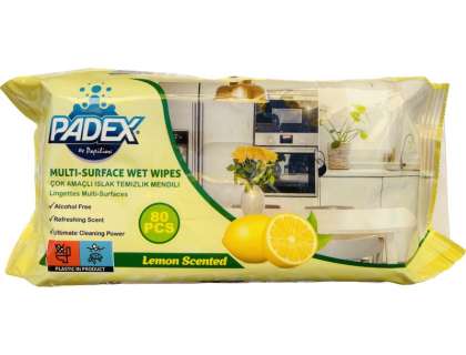 PAPILION - PADEX MULTI-SURFACE WET WIPES