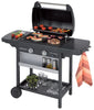 Campingaz  -  Classic L Series 2 Bbq Grill