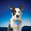 NiteIze - SpotLit Collar Light - Blue Plastic