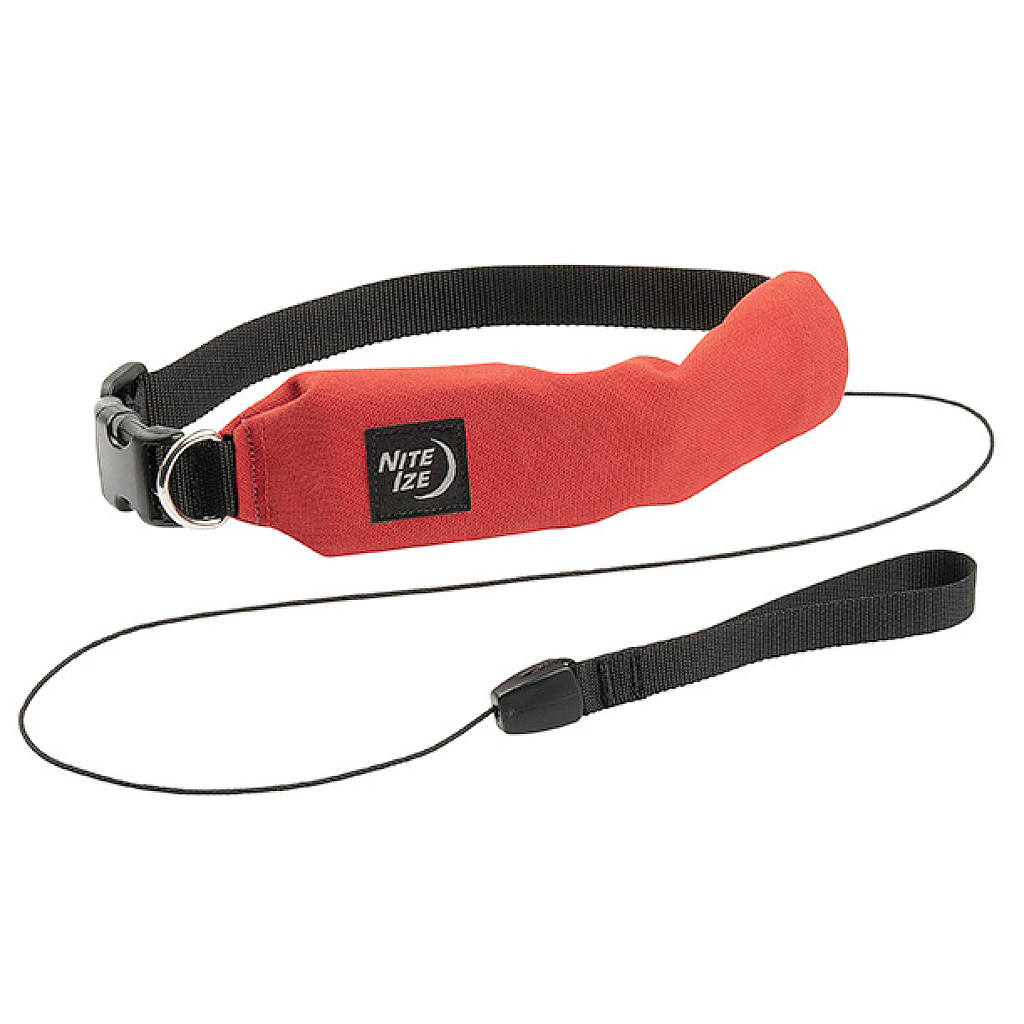 Leash and sale collar in one