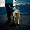 Niteize - NiteDog Rechargeable LED Leash