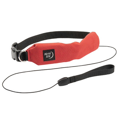 Niteize - RadDog All-In-One Collar + Leash - Large