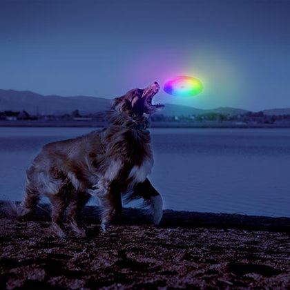 Niteize - Flashflight  Dog Discuit LED Flying Disc